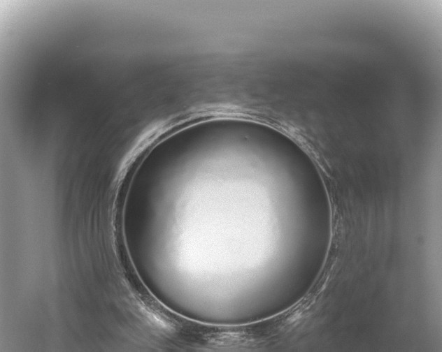 X0000059240151200510211612