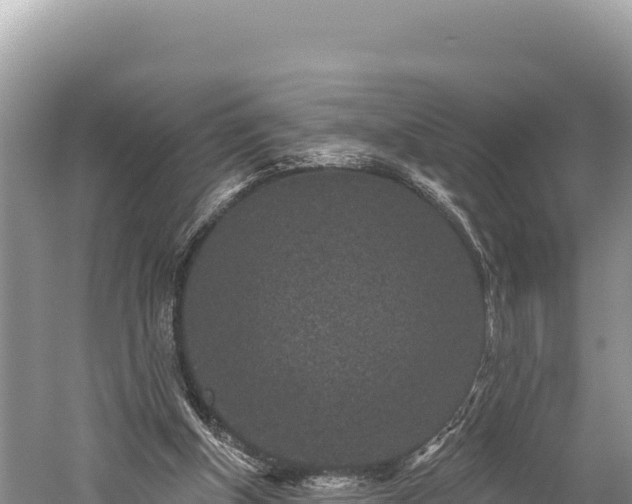 X0000059240154200510211612