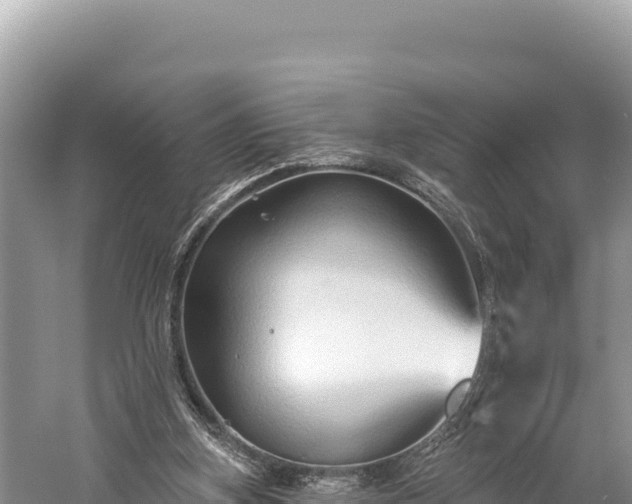 X0000059240155200510211612