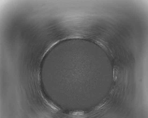 X0000059240156200510211612