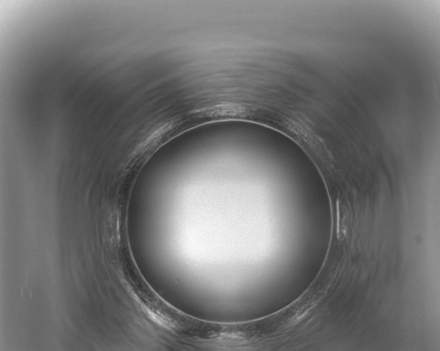 X0000059240157200510211612