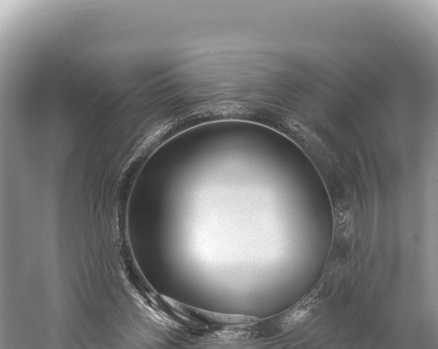 X0000059240158200510211612