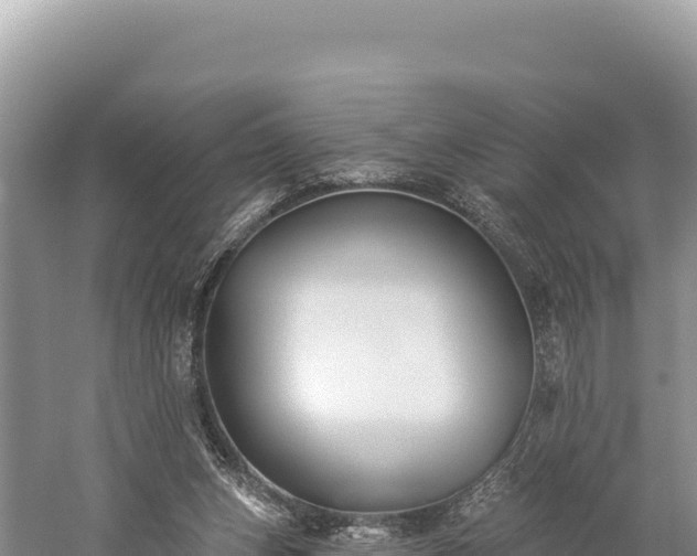 X0000059240159200510211612