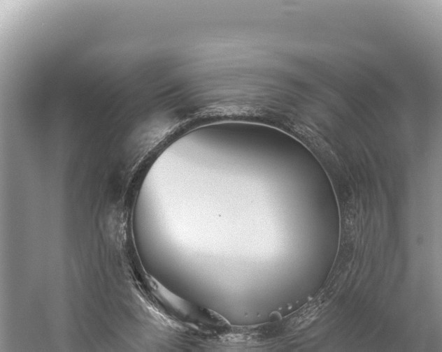 X0000059240160200510211612