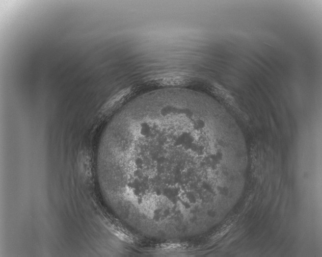 X0000059240161200510211612