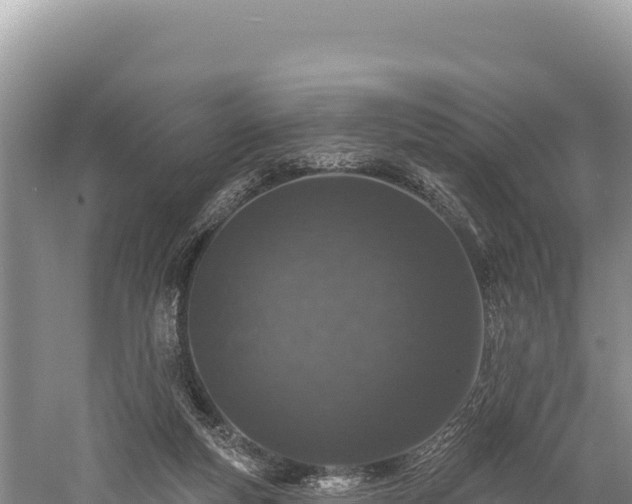 X0000059240163200510211612