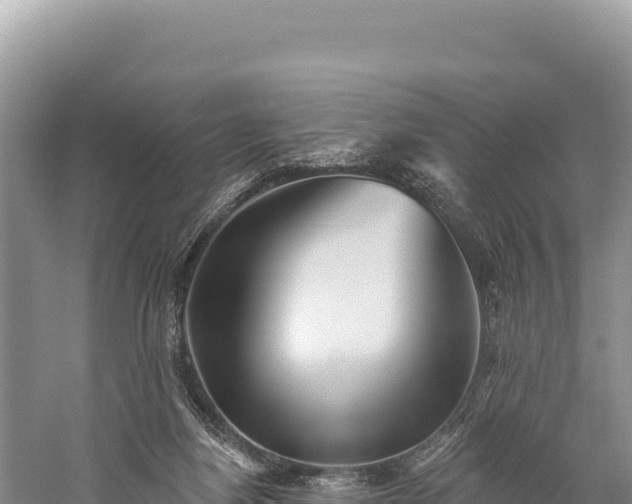 X0000059240164200510211612