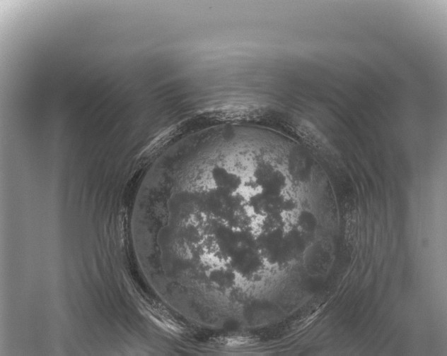 X0000059240165200510211612