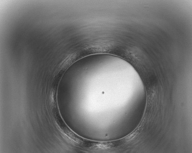 X0000059240166200510211612