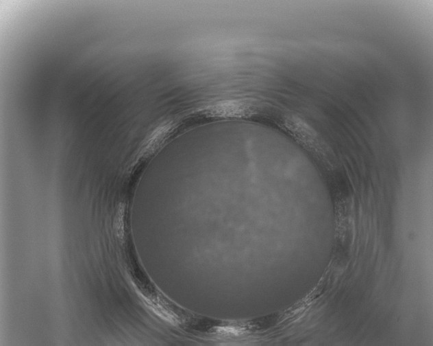 X0000059240167200510211612