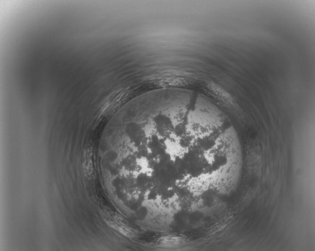 X0000059240169200510211612