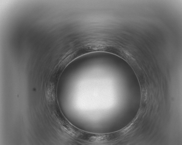 X0000059240170200510211612