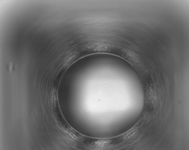 X0000059240172200510211612