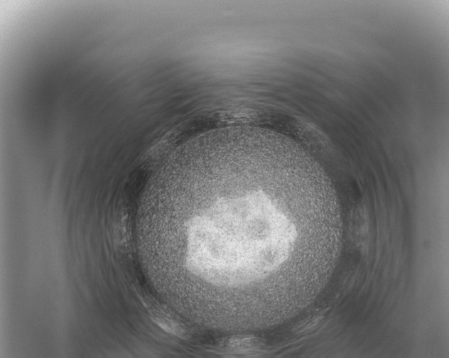 X0000059240173200510211612