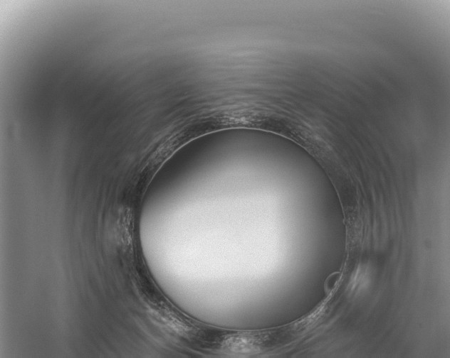 X0000059240174200510211612