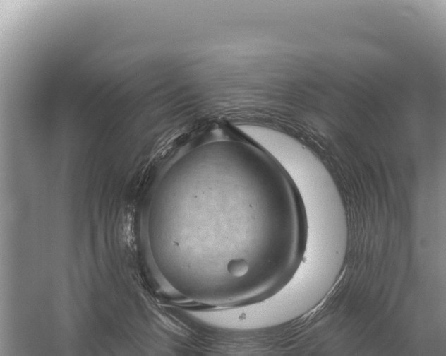 X0000059240175200510211612