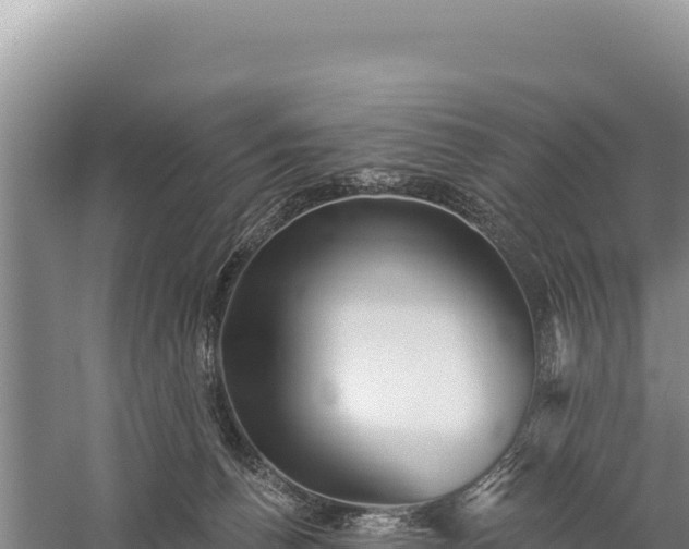 X0000059240176200510211612