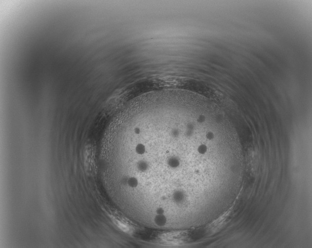 X0000059240178200510211612