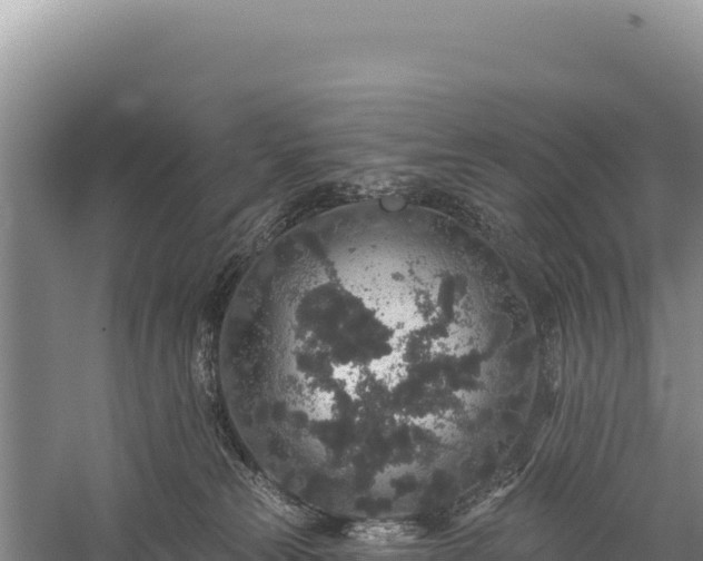 X0000059240181200510211612