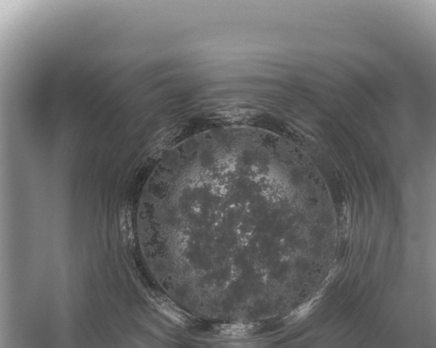 X0000059240182200510211612