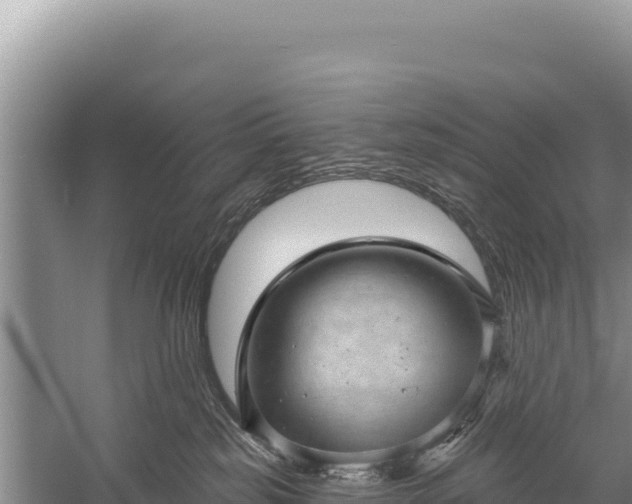 X0000059240185200510211612