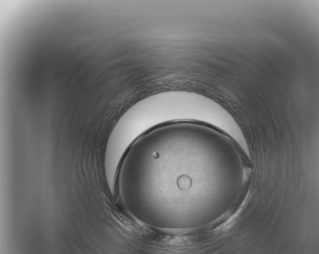 X0000059240186200510211612