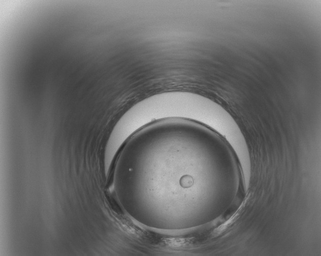 X0000059240187200510211612