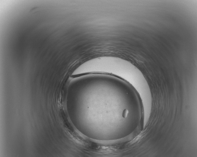 X0000059240188200510211612