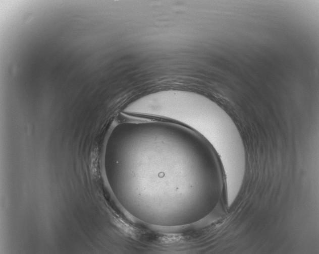 X0000059240189200510211612