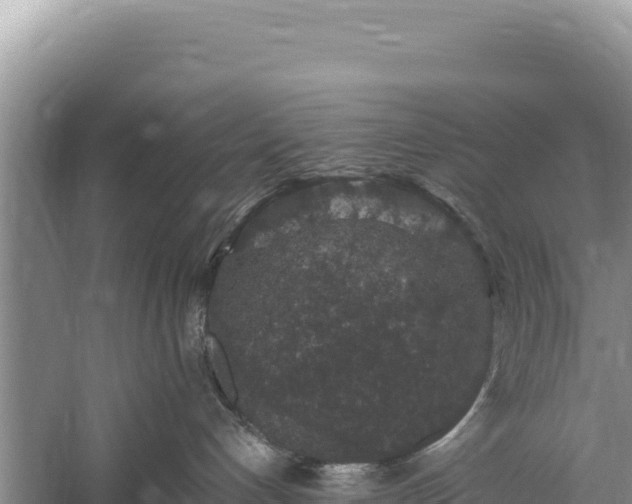 X0000059240192200510211612