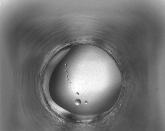 X0000059240193200510211611