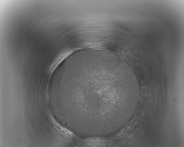 X0000059240194200510211611