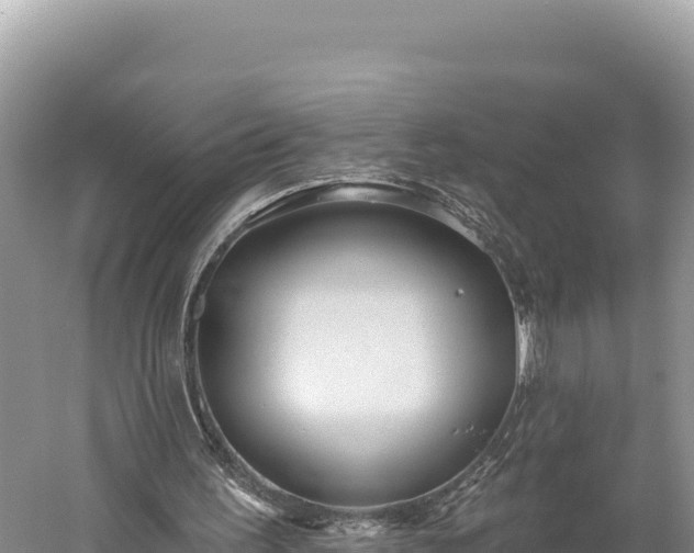 X0000059240195200510211611