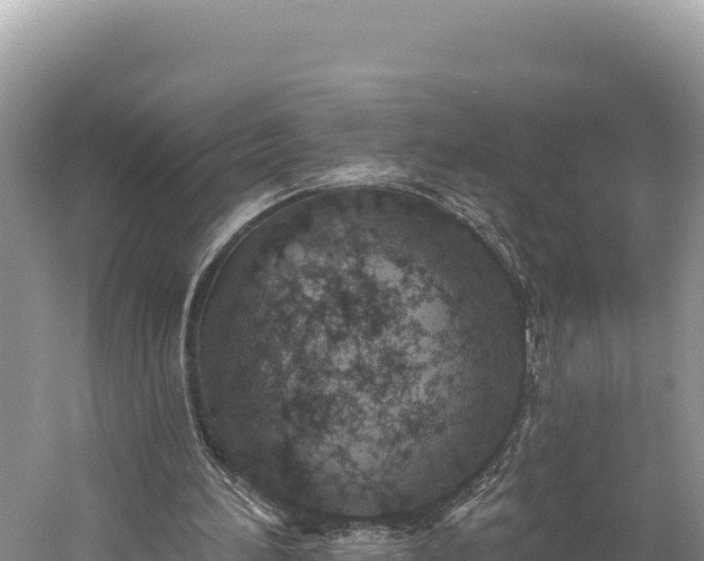 X0000059240196200510211611