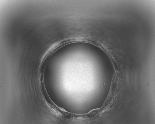 X0000059240197200510211611