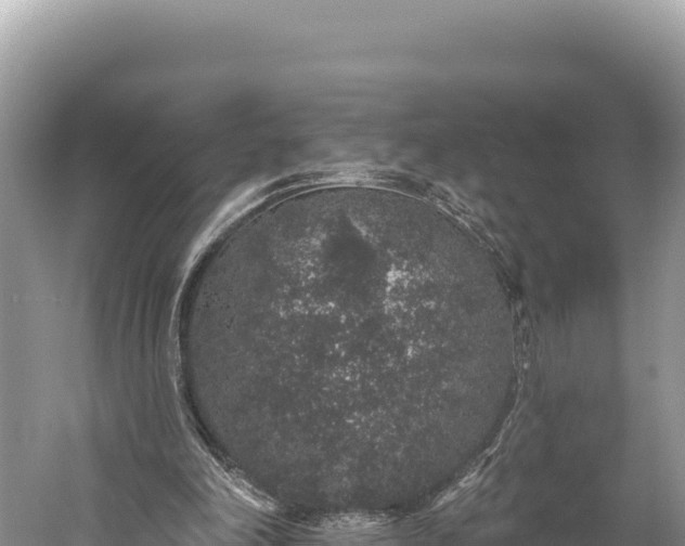 X0000059240198200510211611