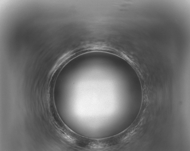 X0000059240199200510211611