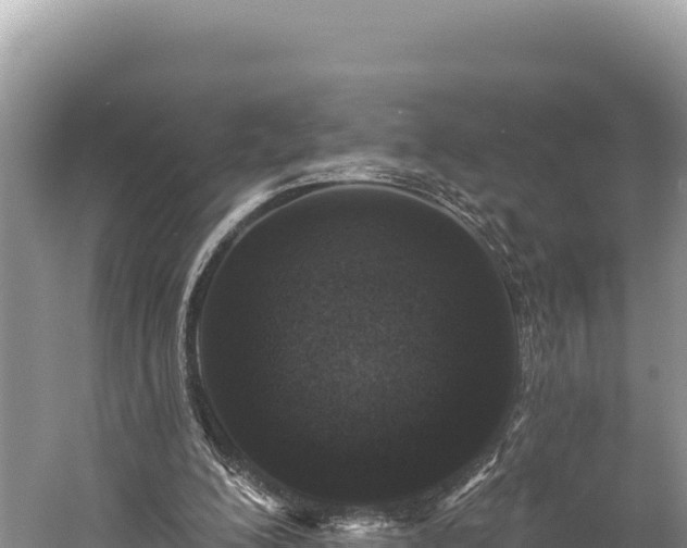 X0000059240200200510211611