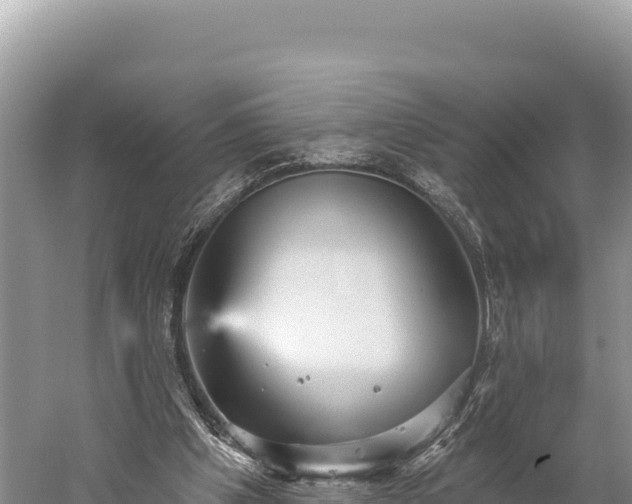 X0000059240201200510211611