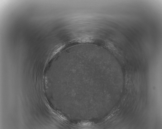 X0000059240202200510211611