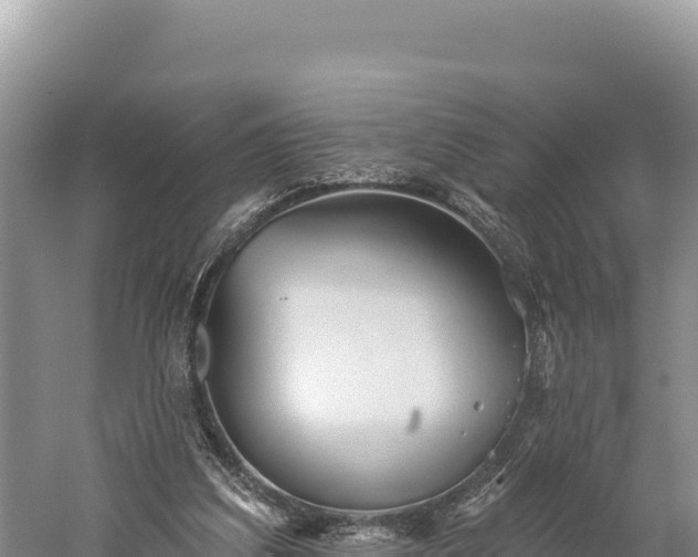 X0000059240203200510211611