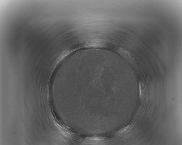 X0000059240204200510211611