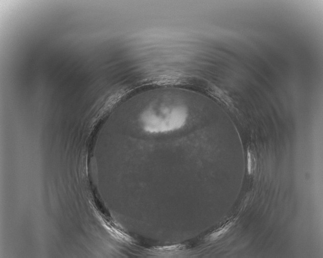 X0000059240205200510211611