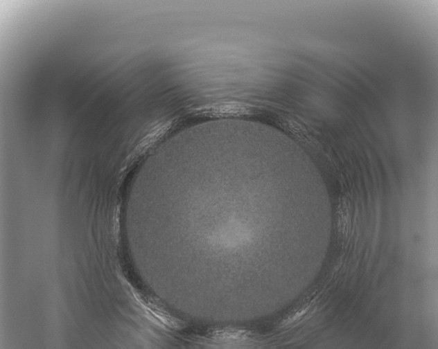 X0000059240206200510211611