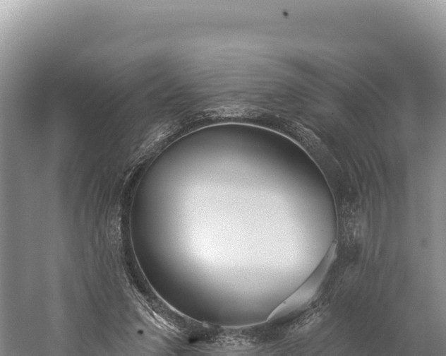 X0000059240207200510211611