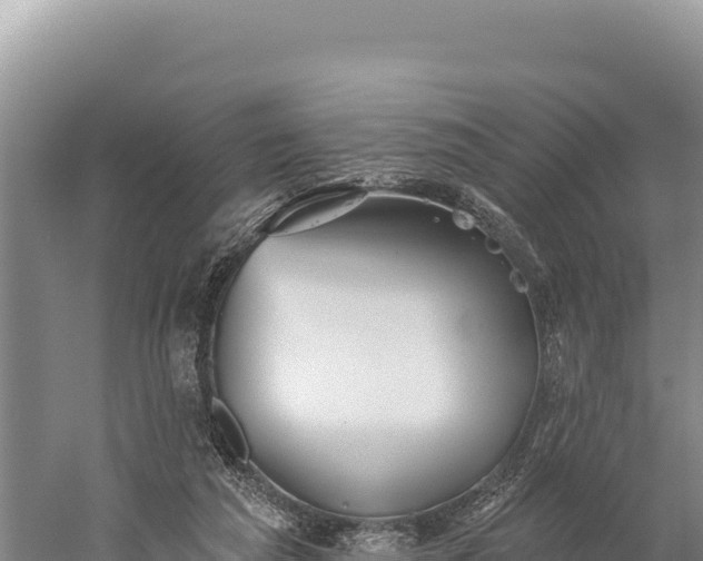 X0000059240209200510211611