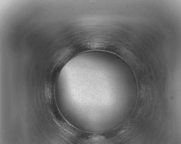 X0000059240210200510211611