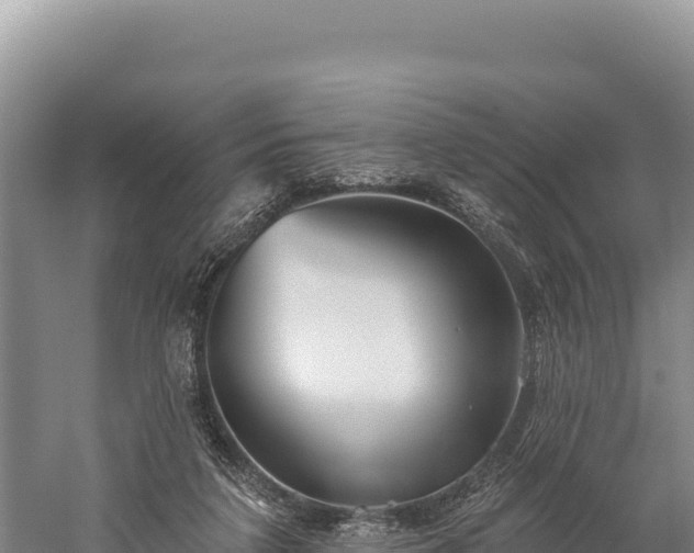 X0000059240211200510211611