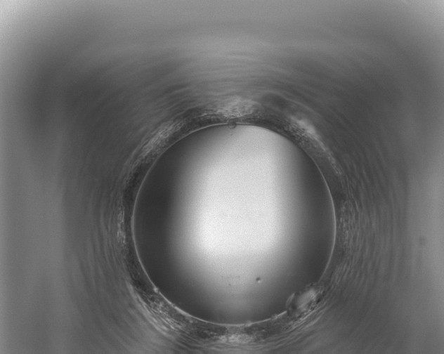 X0000059240212200510211611