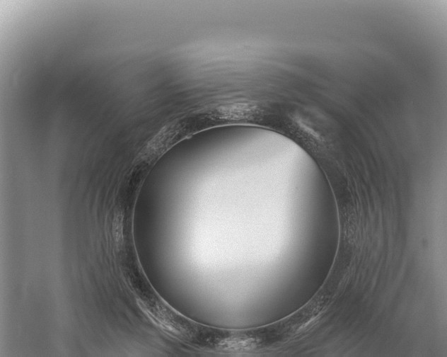 X0000059240213200510211611